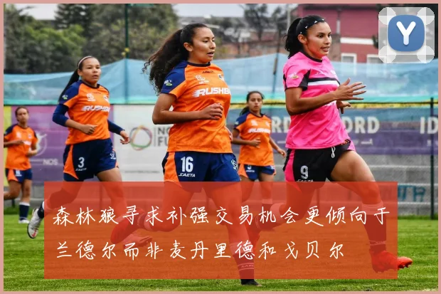 森林狼寻求补强交易机会更倾向于兰德尔而非麦丹里德和戈贝尔